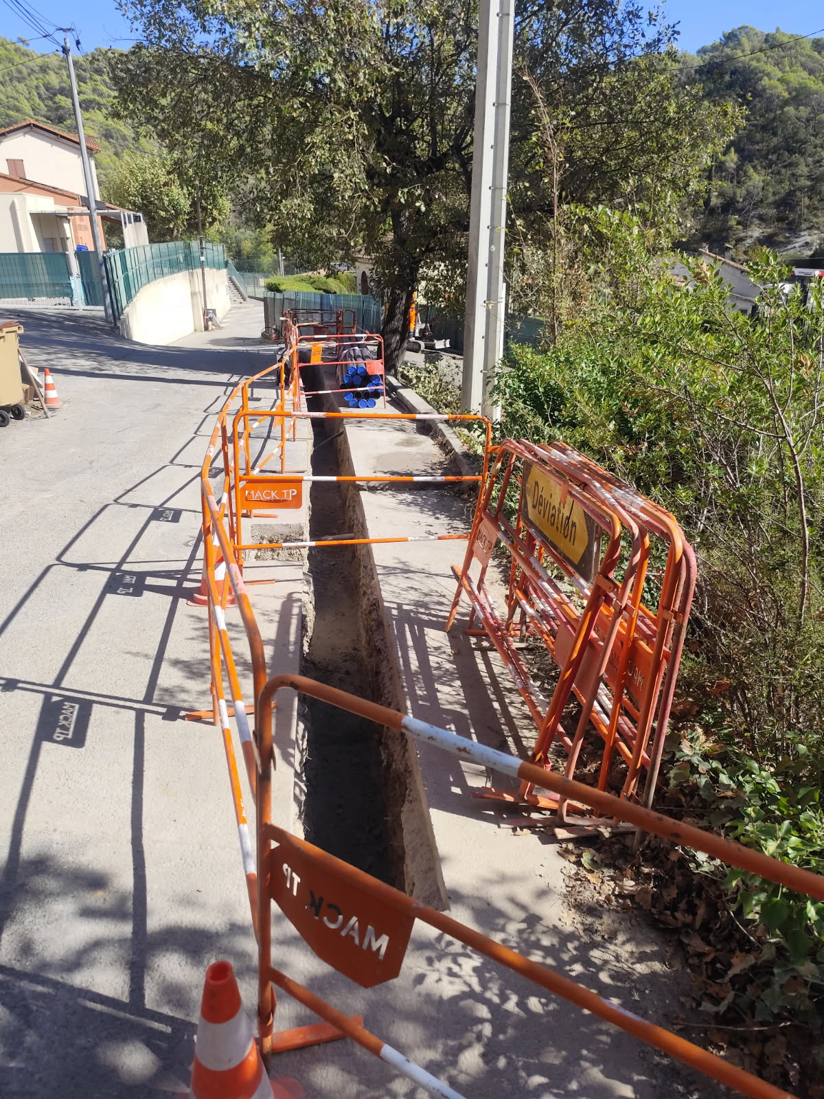 Original 2C90329F E97B 4B35 A42D 98251F94B4D2